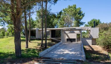 forest home fits organically around trees on the buenos aires coast