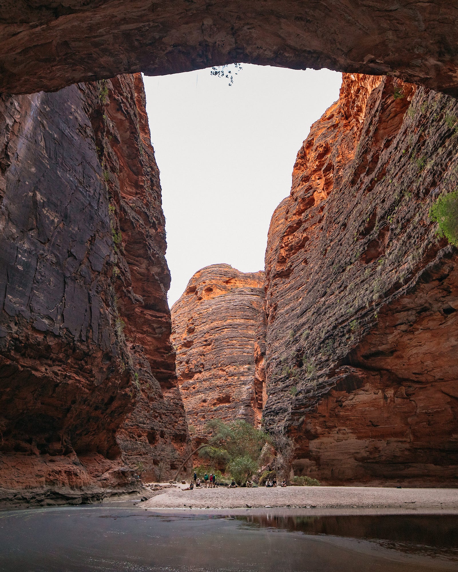 cathedral gorge, purnululu national park