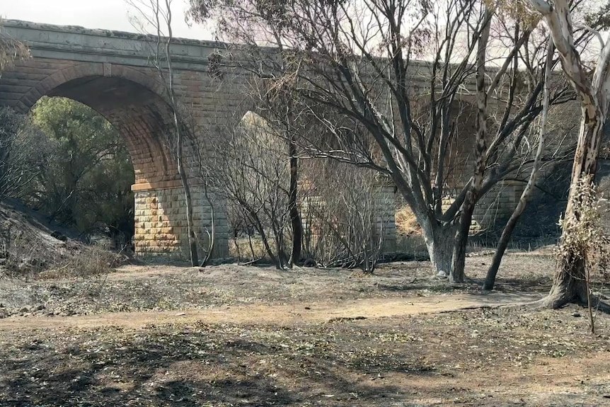 A stone bridge surrounded by charred trees and blackened earth.