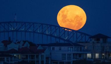 Why the ‘Wolf Moon’ is set to appear larger than normal this year