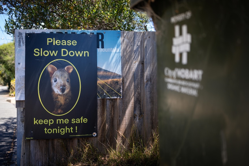 Please slow down for wildlife sign in Hobart.