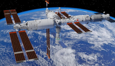 A Mouse Just Gave Birth After Going to Space. Here's Why That's a Big Deal. : ScienceAlert