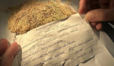 Moss is So Unique it's Acted Like Fingerprints to Help Solve a Dozen Crimes