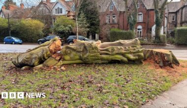 A decaying tree with a face carved into it is laid on its side after being chopped down. Residential houses can be seen in the background.