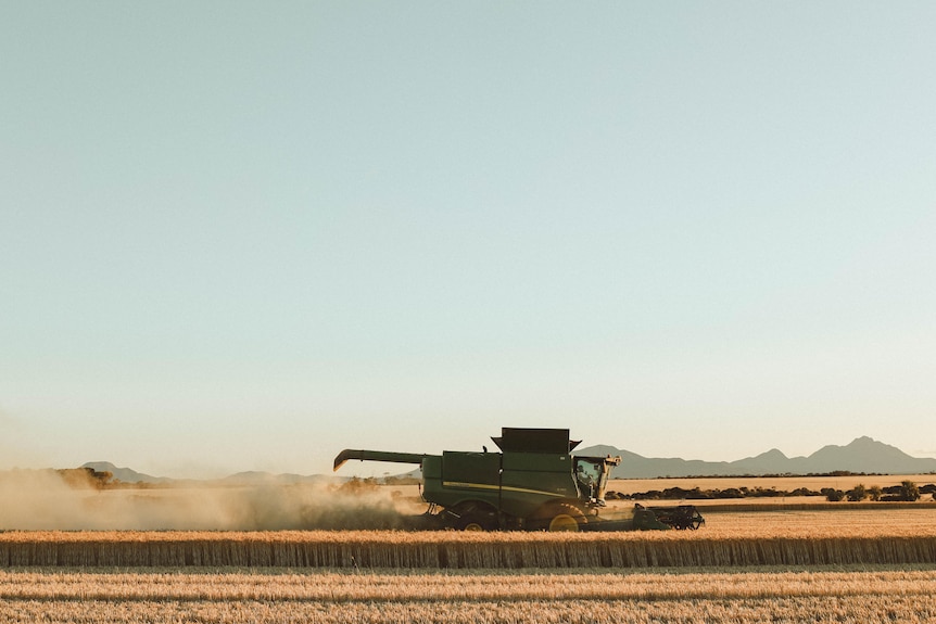 a farmer harvesting his crops in the great southern