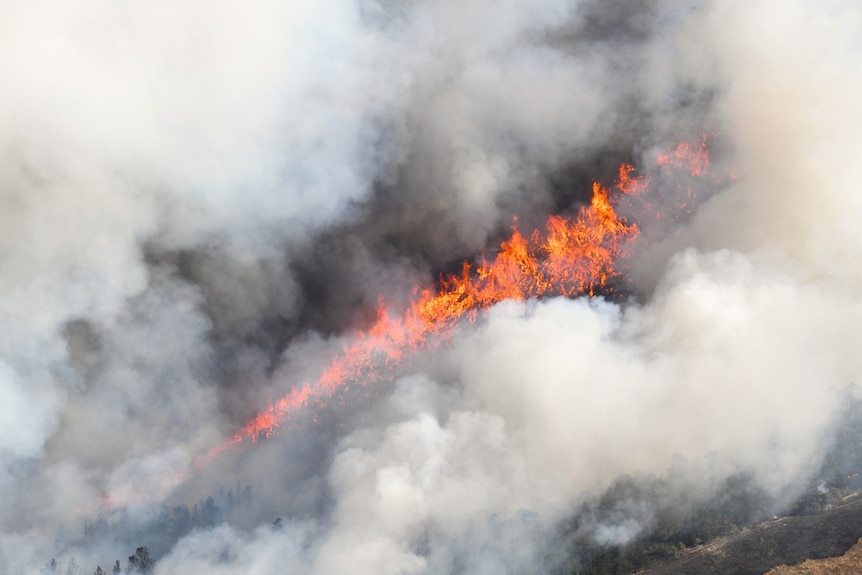 An aerial view of flames and smoke from a bushfire.
