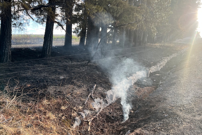 Smoke in the Tooperang fire area.