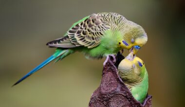 Yahoo lifestyle home