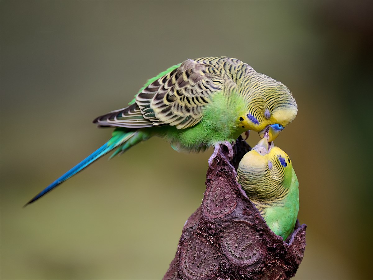 Yahoo lifestyle home