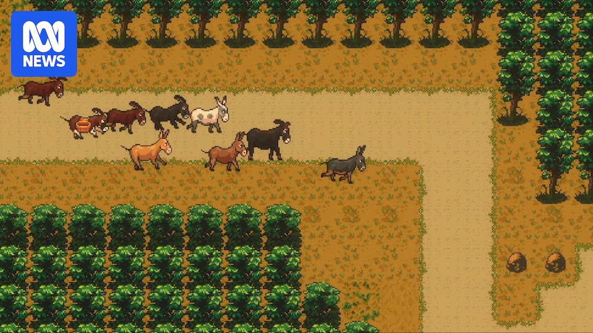 Sydney Festival show asses.masses combines participatory theatre and the social fabric of playing video games together