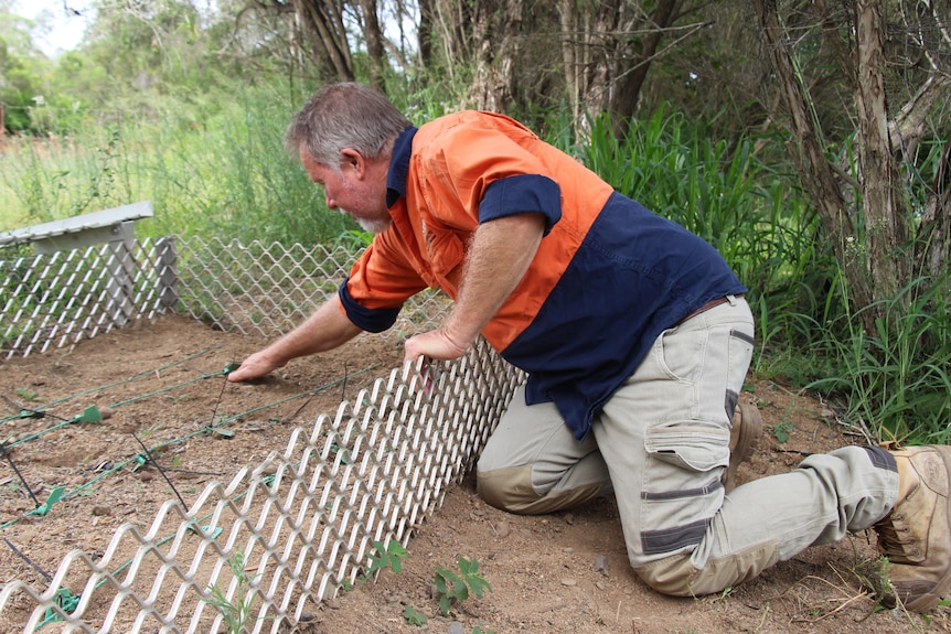 A man crouches while leaning over a low mesh fence.