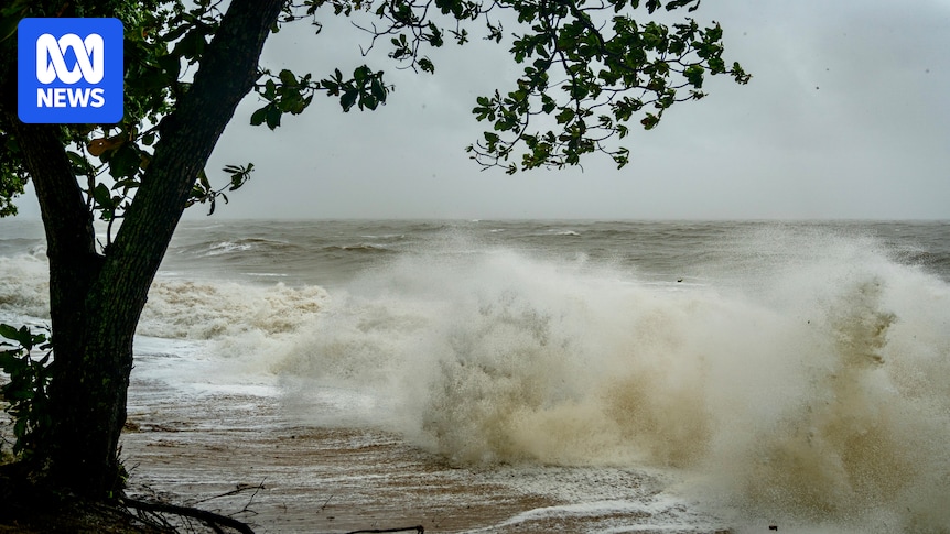 Tropical low with 'high' chance of becoming cyclone looms off north Queensland coast