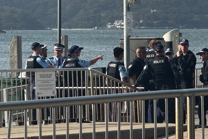 NSW Police at shark attack 180126