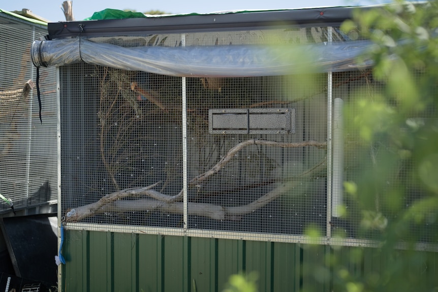 Alison McNeice used government concessions to be able to buy her first home 2026-01-08 11:01:00