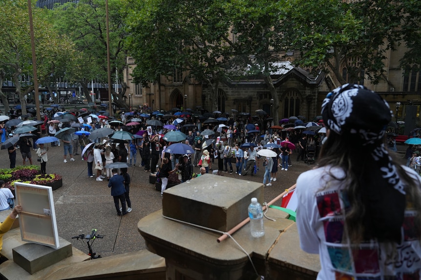 protesters gathered in sydney