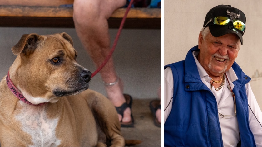 A composite image of a dog sitting at a man's feet and a laughing man.