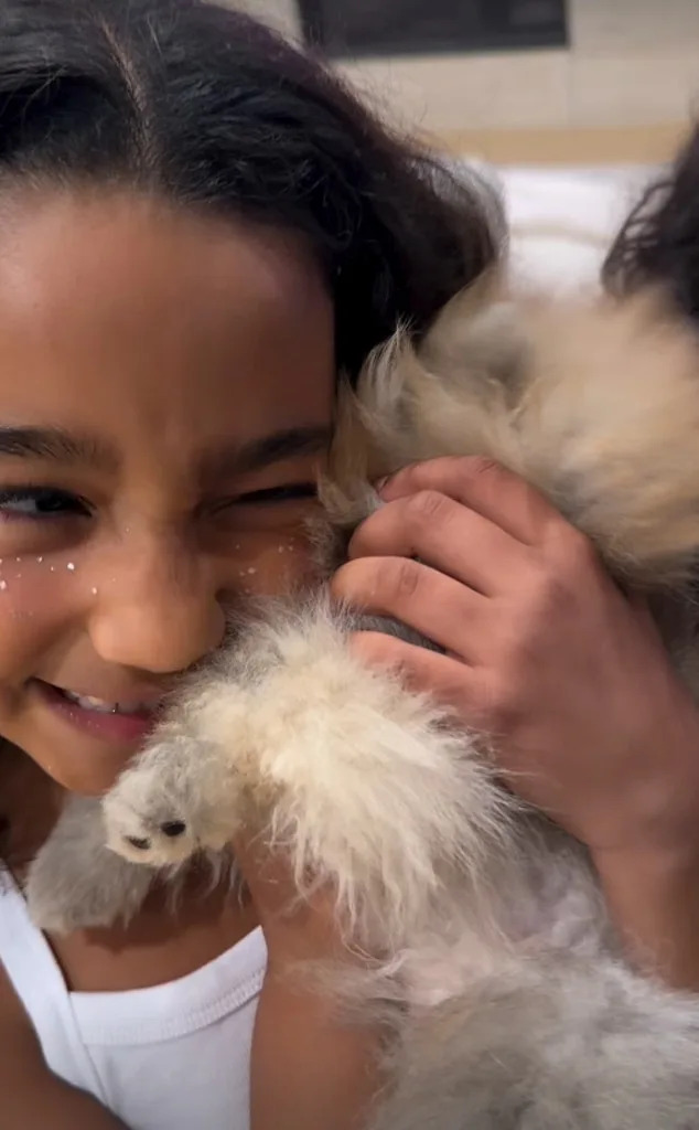 Chicago West, Instagram Stories, 2026