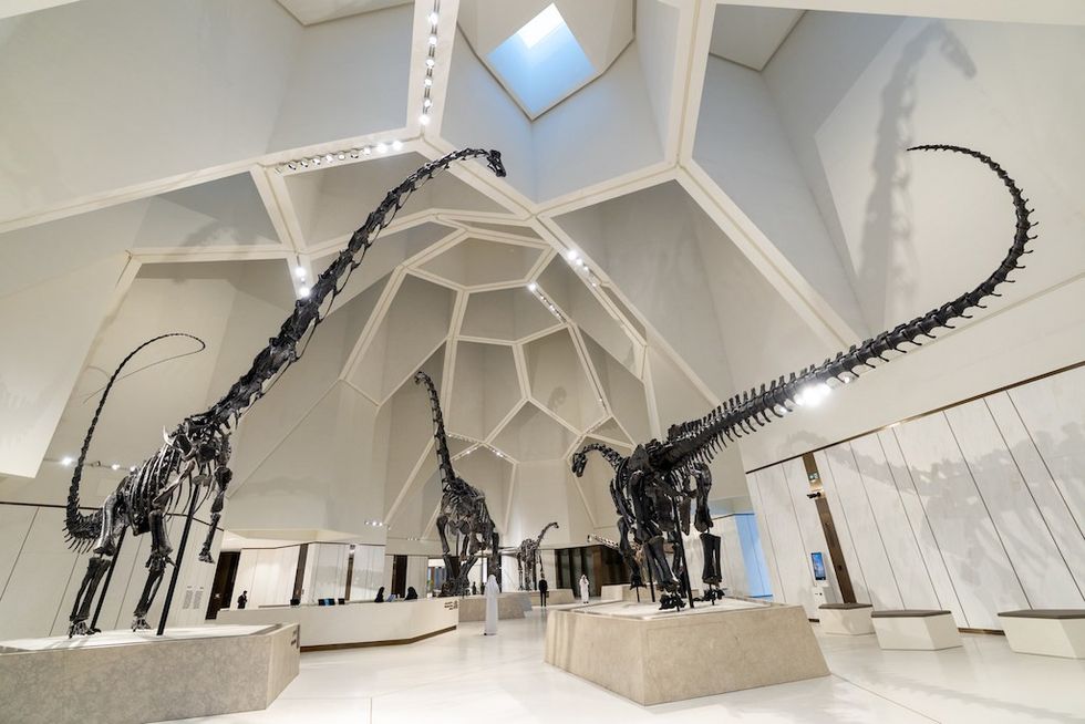 Dinosaur skeletons displayed in a modern, geometric-roofed museum hall at Natural History Museum Abu Dhabi