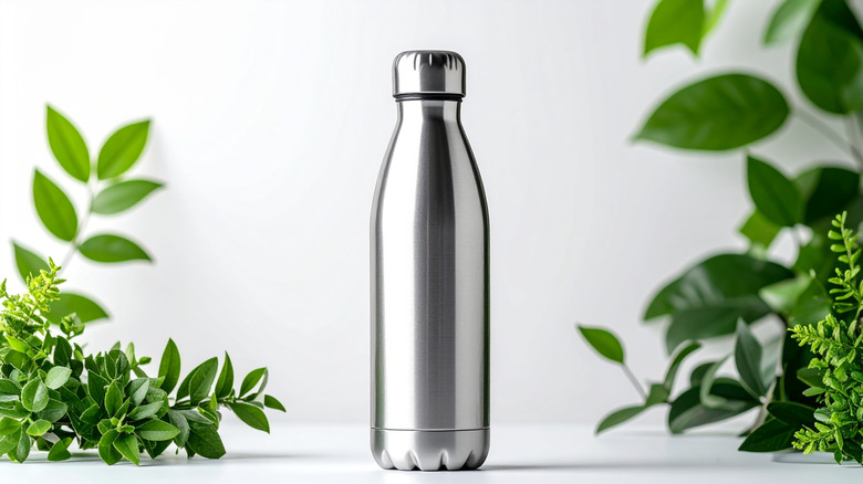 Stainless steel water bottle in front of white background with a few leaves bordering the picture