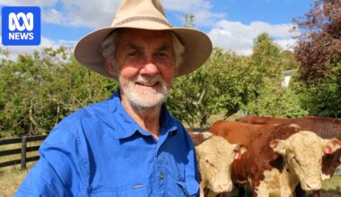 Max Hobson identified as cattle farmer who died in Longwood fire near Seymour