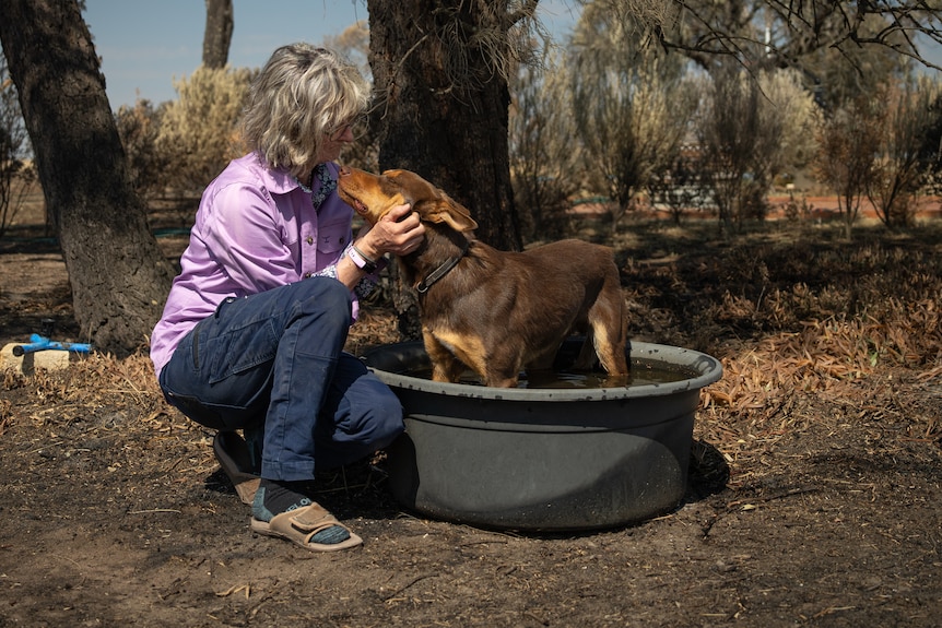 A woman crouches on the ground next to a dog that is standing in a tub. The trees and ground around them are blackened.