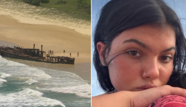 Dingoes to be euthanised after teen’s death on K’gari