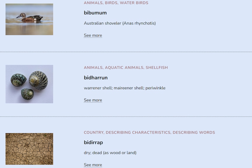 A screenshot of a website showing dictionary definitions of Aboriginal words.