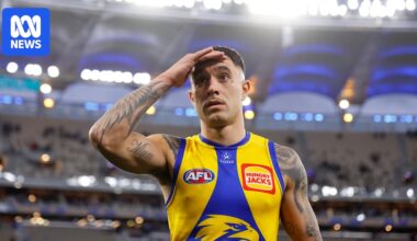 West Coast Eagles player Tyler Brockman charged with assault after Geraldton fracas