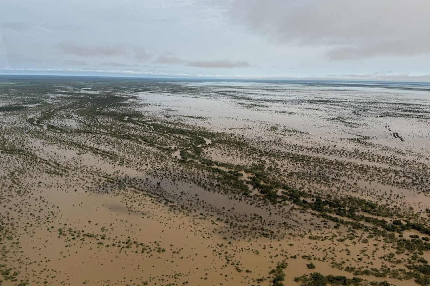 an aerial of lots of water over outback plains, submerged trees