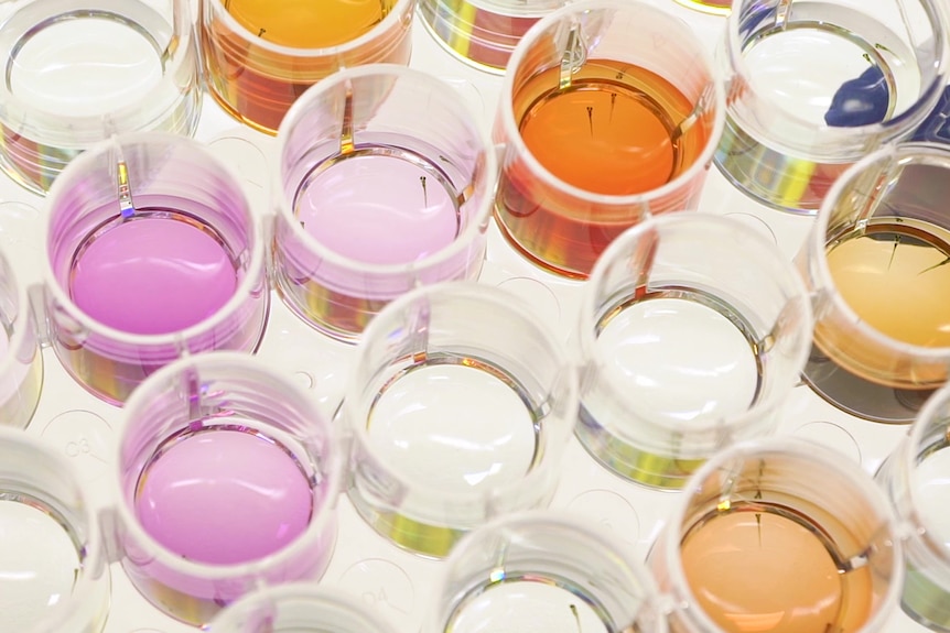 Colourful beakers of liquid on a white benchtop
