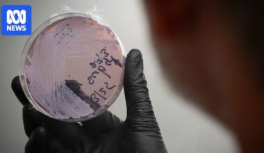 Fresh melioidosis infections spark warnings for North Queensland flood clean-up