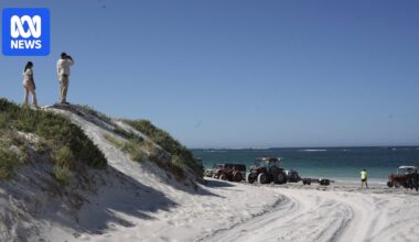 Human remains found in search for snorkeller missing off WA's Ledge Point