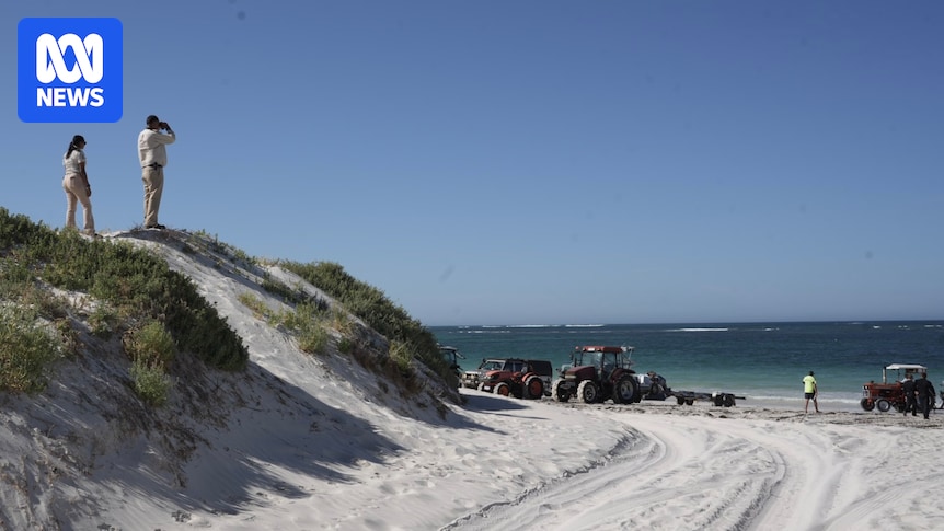 Human remains found in search for snorkeller missing off WA's Ledge Point