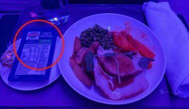 'Different with Qantas': Virgin Australia passenger fumes over disappointing business class feature - but not everyone agrees