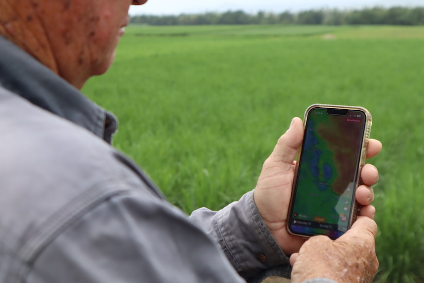 Robert Lyon is looking at a weather map on his phone in a field of green. 