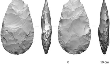 500,000-year-old elephant bone tool reveals advanced planning and skill in early human ancestors