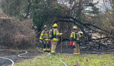 Norfolk fire crews swiftly contain brush fire behind Rugby Street homes