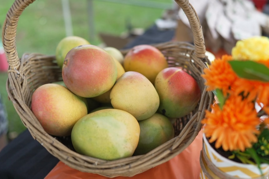 Mangoes in a basket