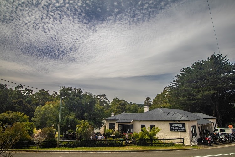 A pub set between trees
