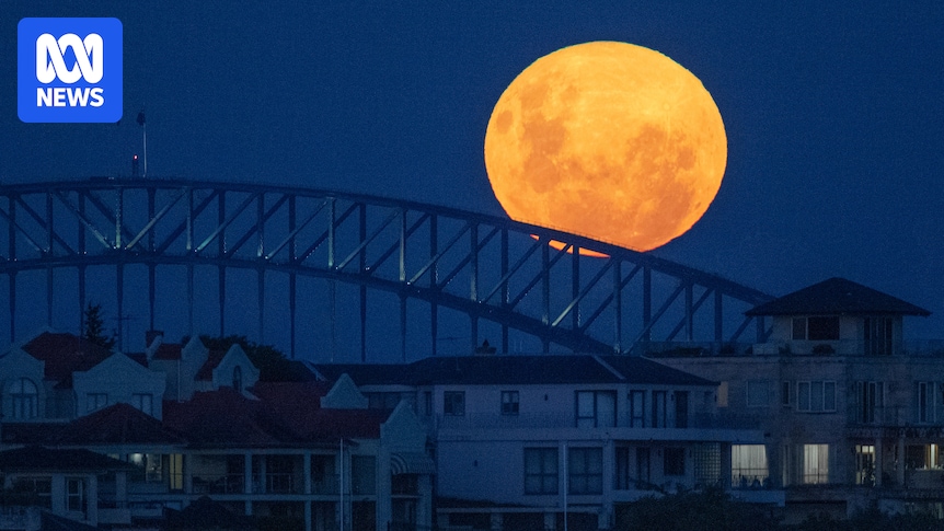 The moon will loom extra large tonight — but it's not a supermoon