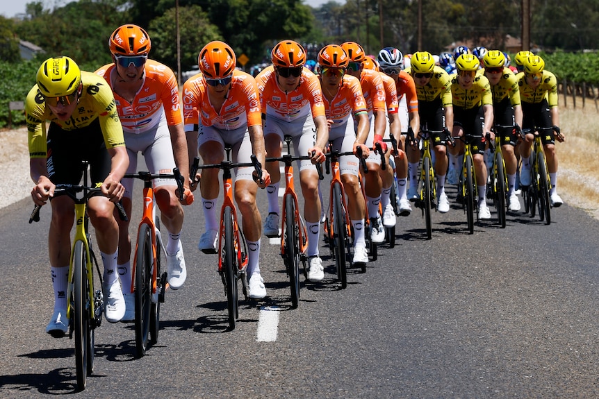 Ineos and Visma lease a bike lead the peloton