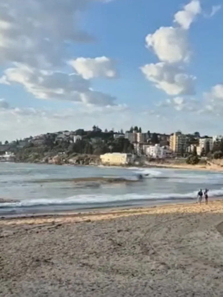 Alarms rang throughout the beach.
