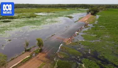 Top End dams overflow as parks come to life in the wake of Cyclone Fina