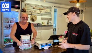 Lychee fruit farmers diversify with desserts as Sunshine Coast crop delivers bad harvest