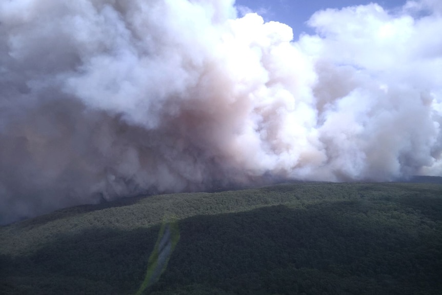 An aerial view of the Carlisle River fire.