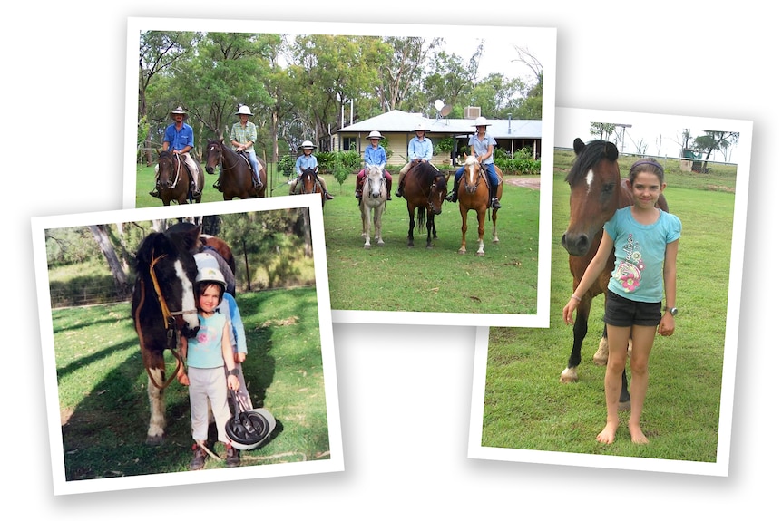 A collage of photos of horses and riders.