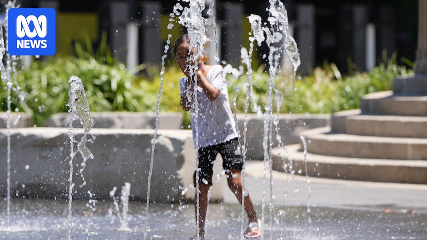 Day-by-day weather guide to most severe southern Australia heatwave in years