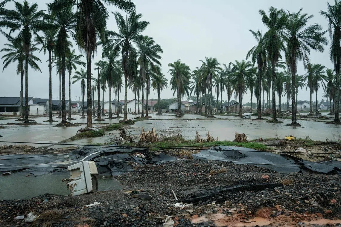 Subscribe Placeholder