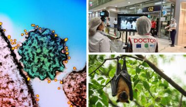 Should Australians be worried about Nipah virus? What it is, health advice and latest outbreak updates