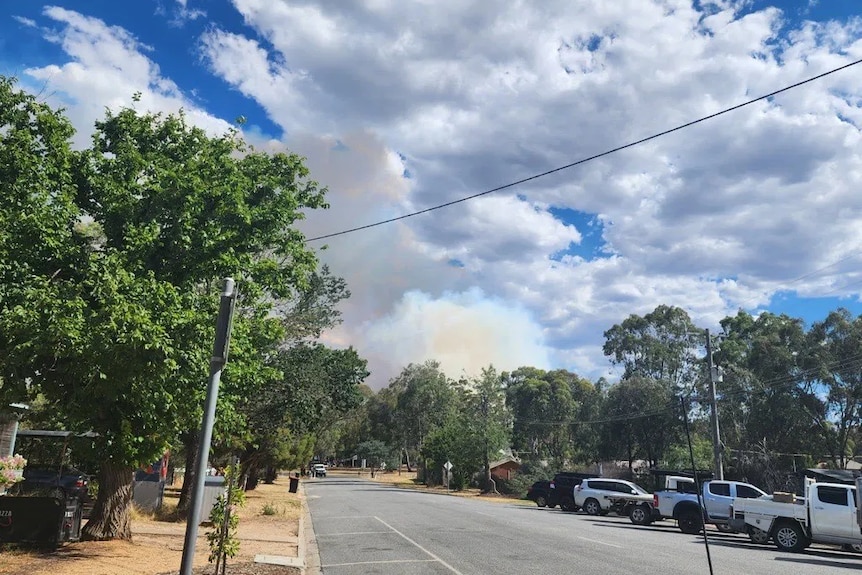Smoke rises above trees in the distance.